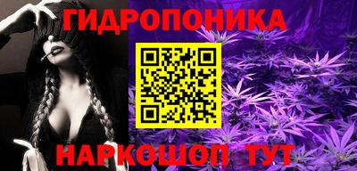 ешки Дубна