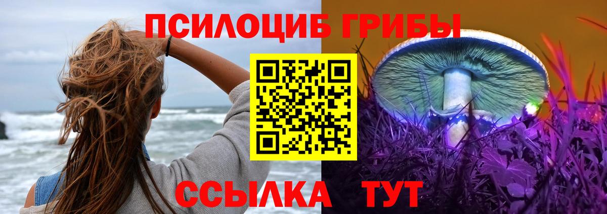 Псилоцибиновые грибы Magic Shrooms  Вход с VPN  Галлюциногенные грибы Magic Shrooms  Медногорск 