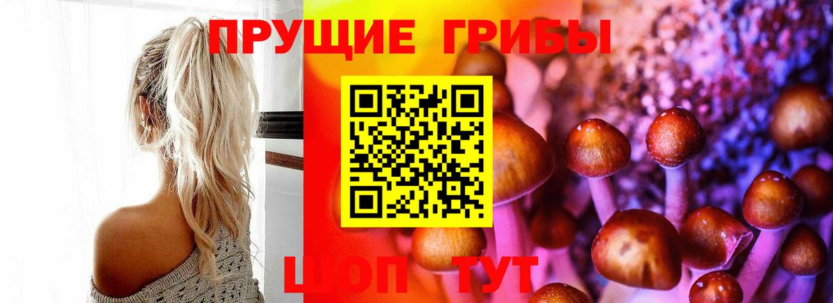 Галлюциногенные грибы мицелий Медногорск